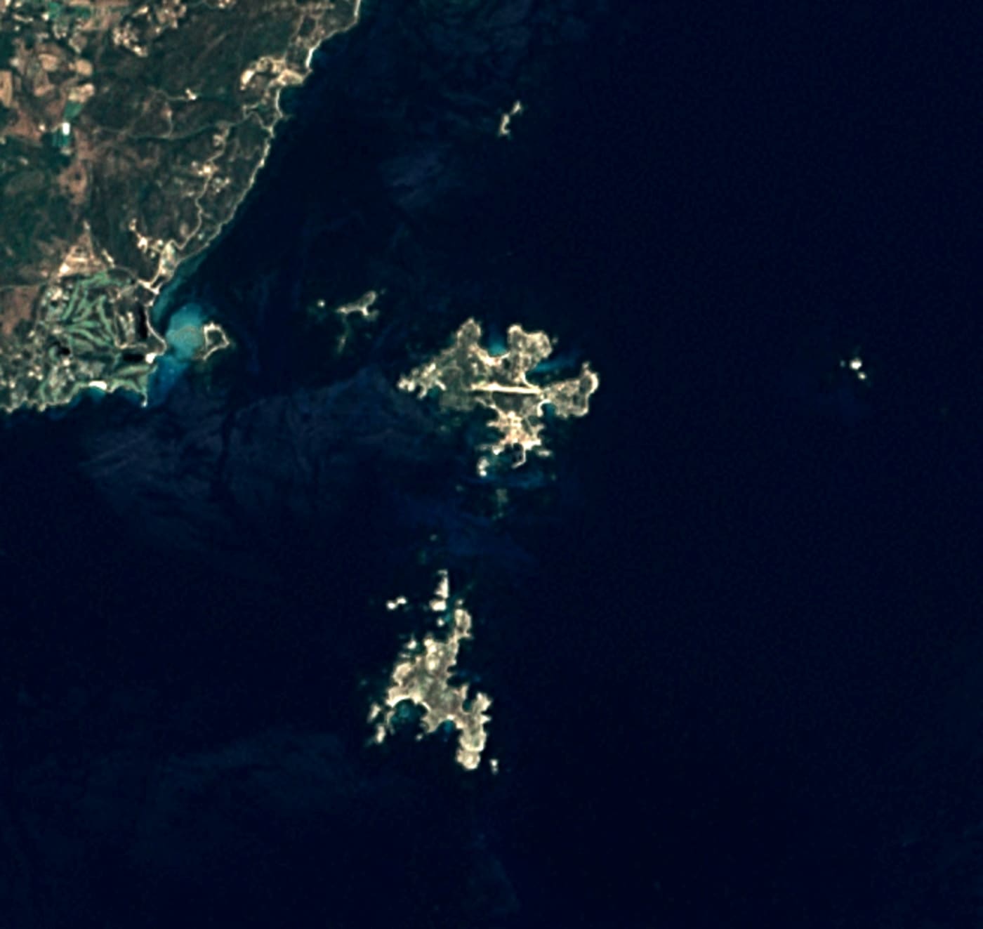 Plongée aux Îles Lavezzi